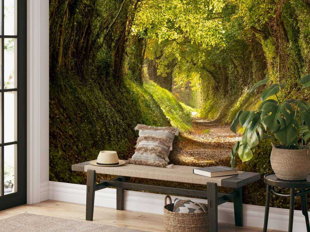 Tunnel dell'albero Halnaker