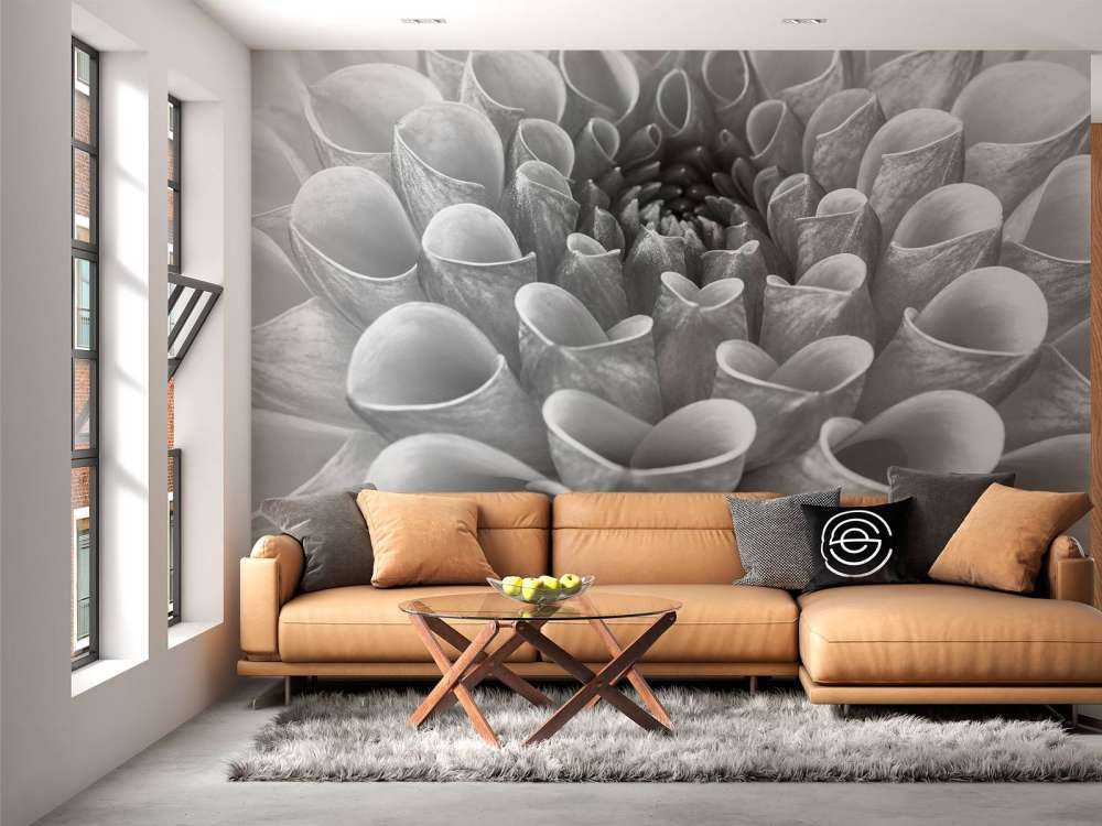 Dalia in primo piano