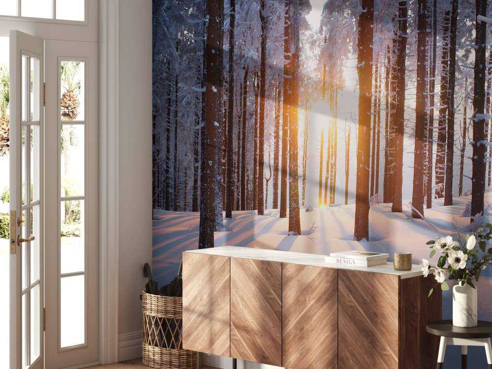 Tramonto in una foresta invernale