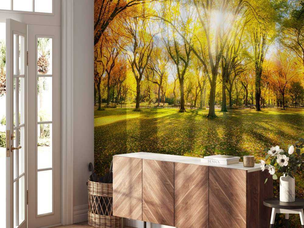 Foresta autunnale colorata