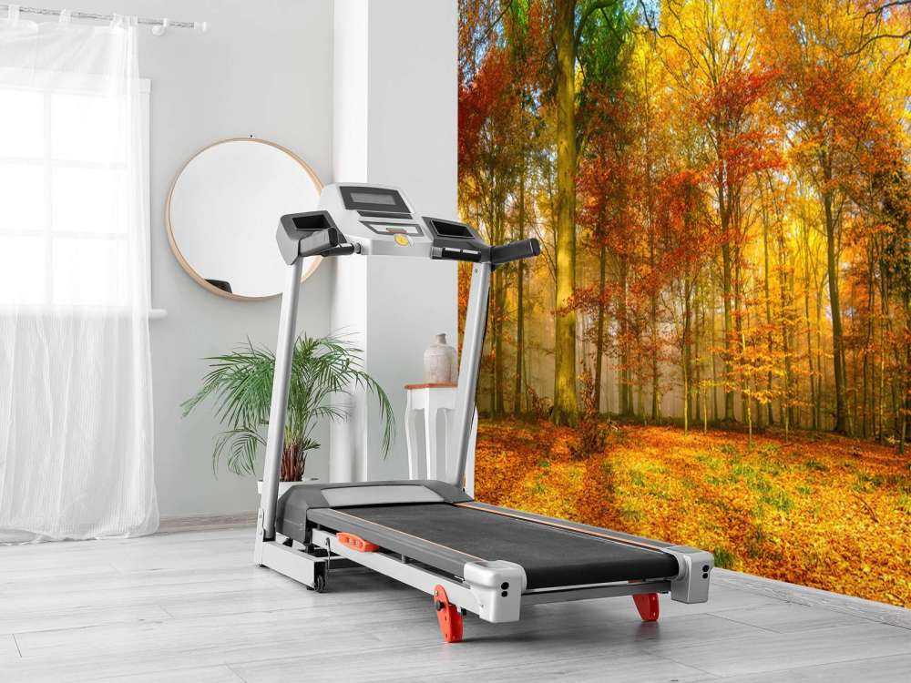 Panorama della foresta colorata