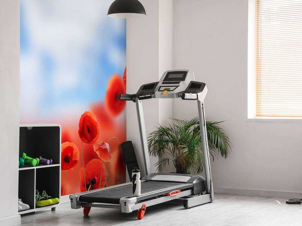 Cielo blu e papaveri rossi