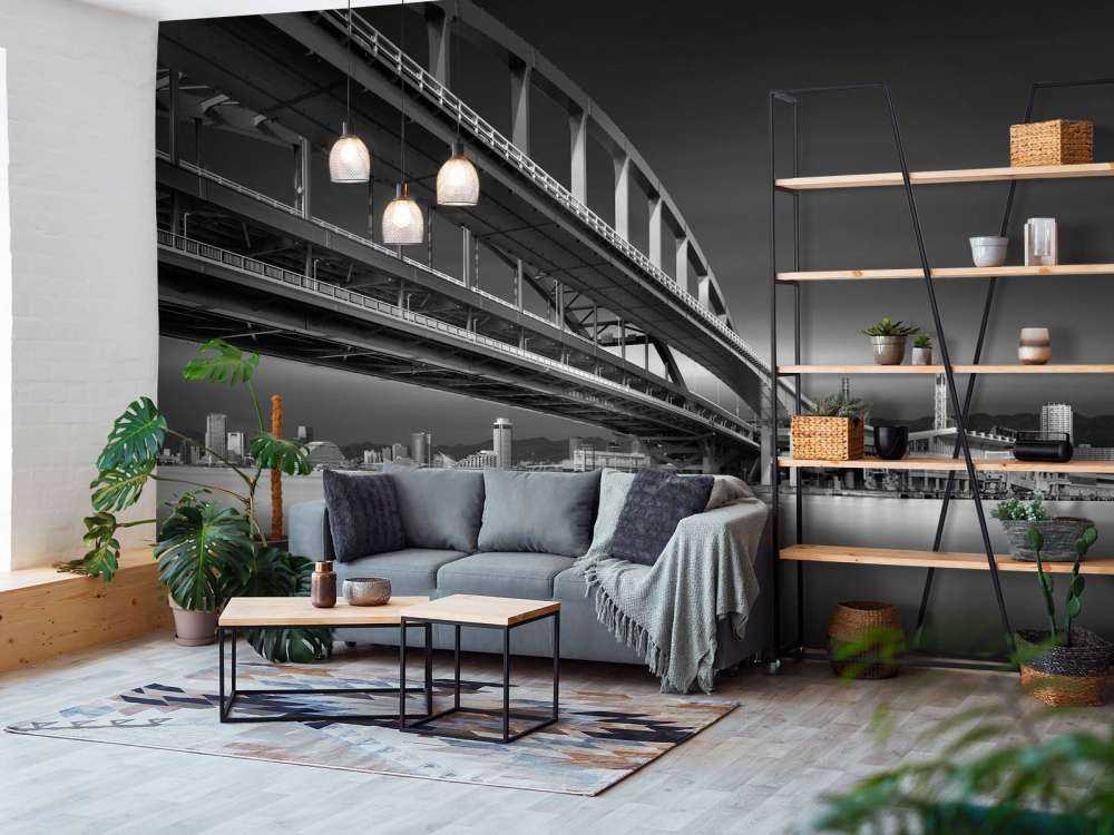 The Land of Coonectons 1: Over the Rainbow