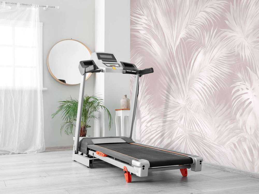 Palma Stravagante Arancione