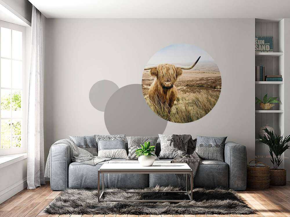 Highlander scozzese con canna