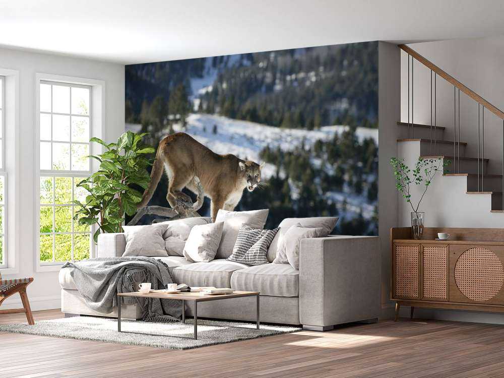 Leone di montagna su un albero morto