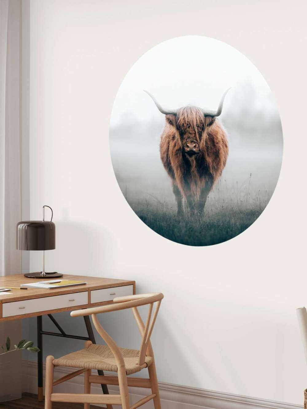 Highlander scozzese in una fitta nebbia