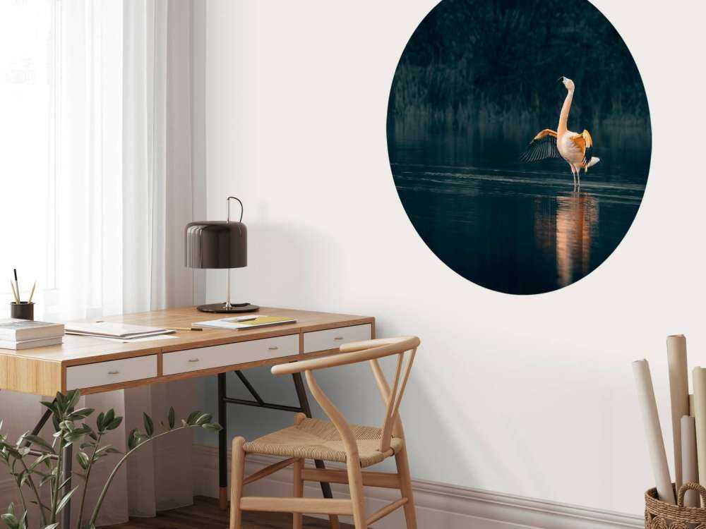 Fenicottero in un lago deserto