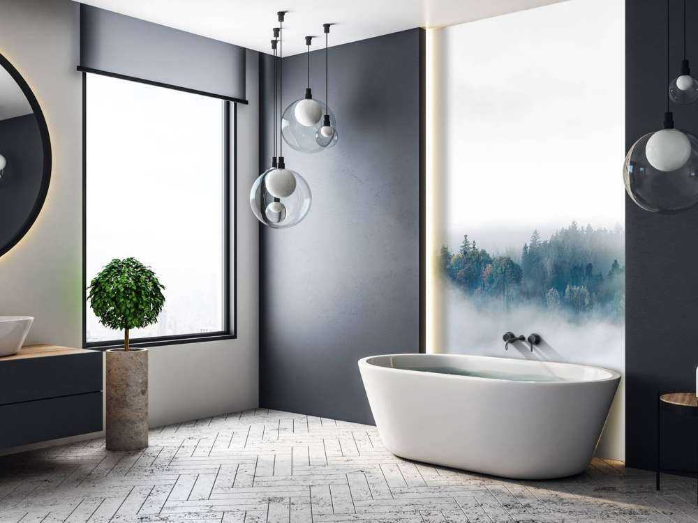 Misty Morning Surprise