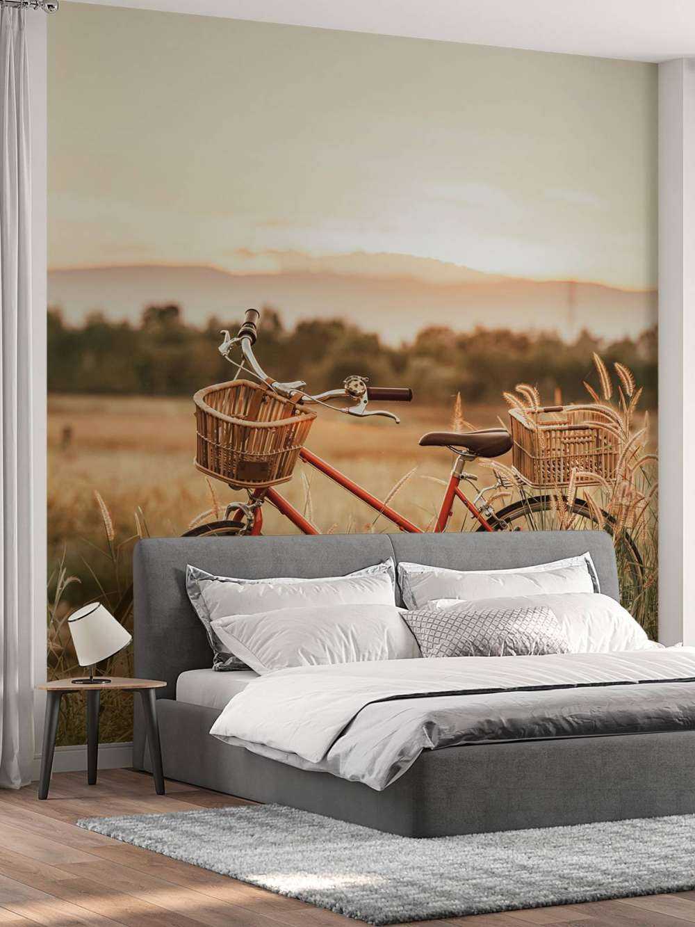 Bici d'epoca in estate