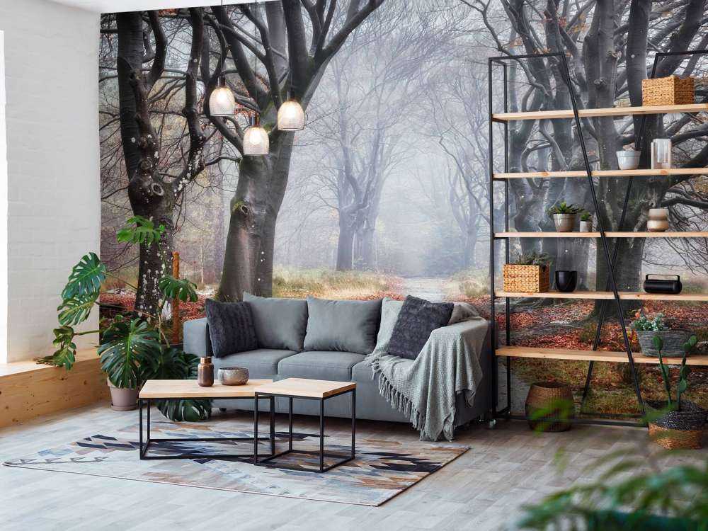 Alberi nella foresta