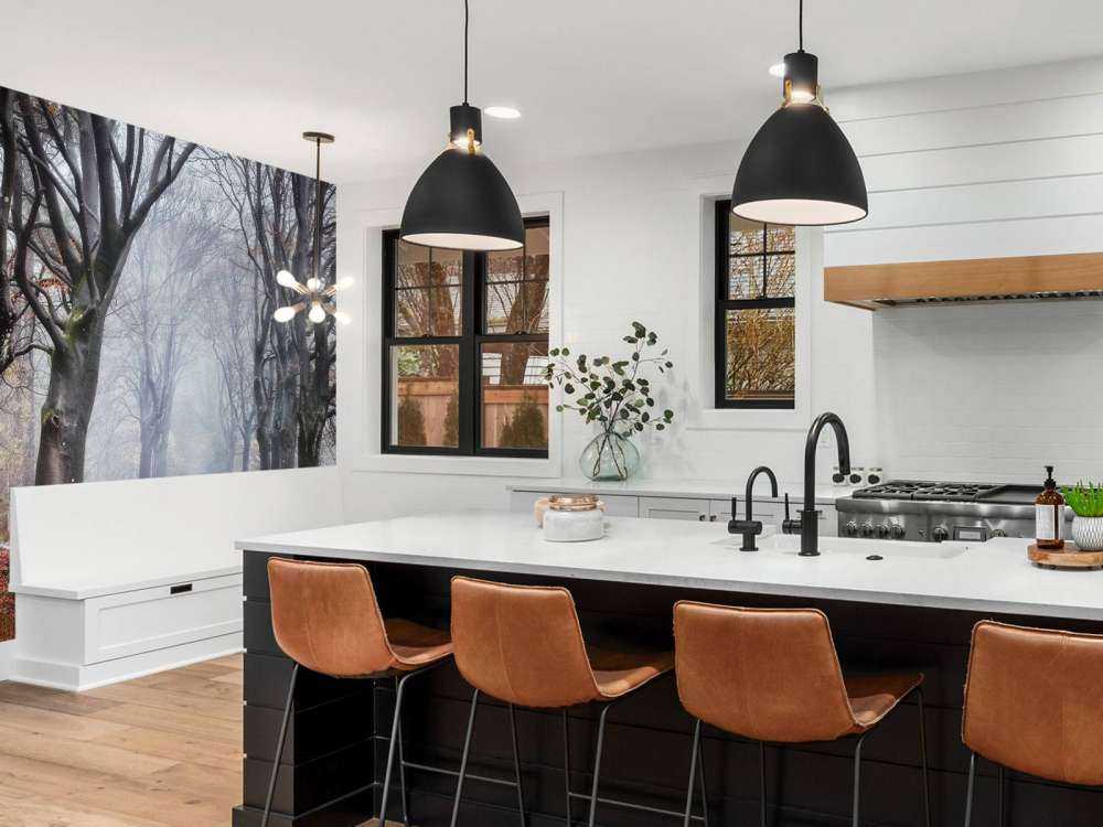 Alberi nella foresta