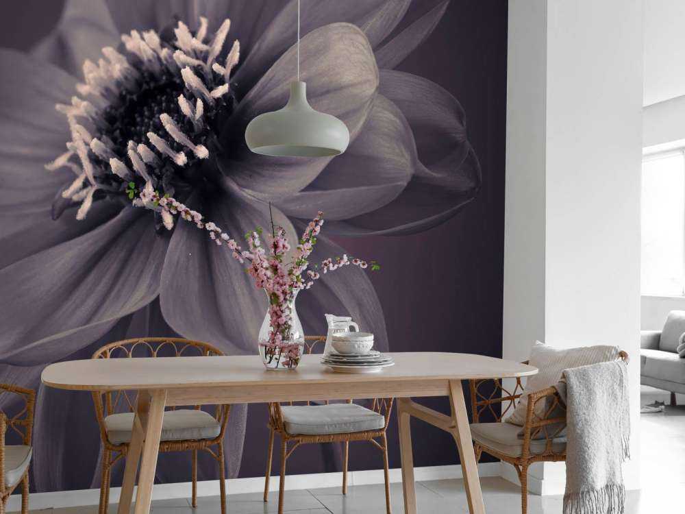 Fiore di dalia scuro