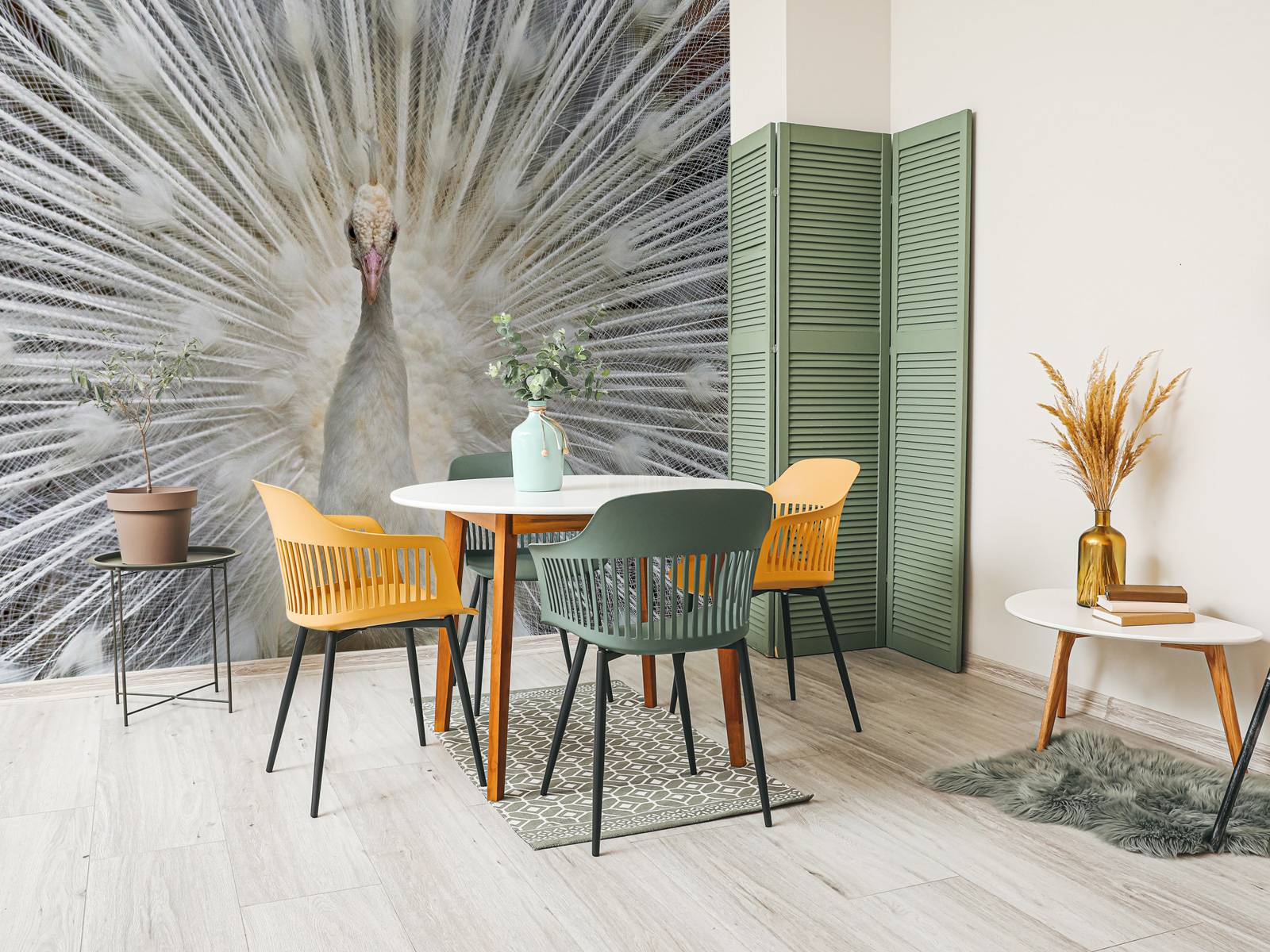 Pavone bianco, image size:1600x1200