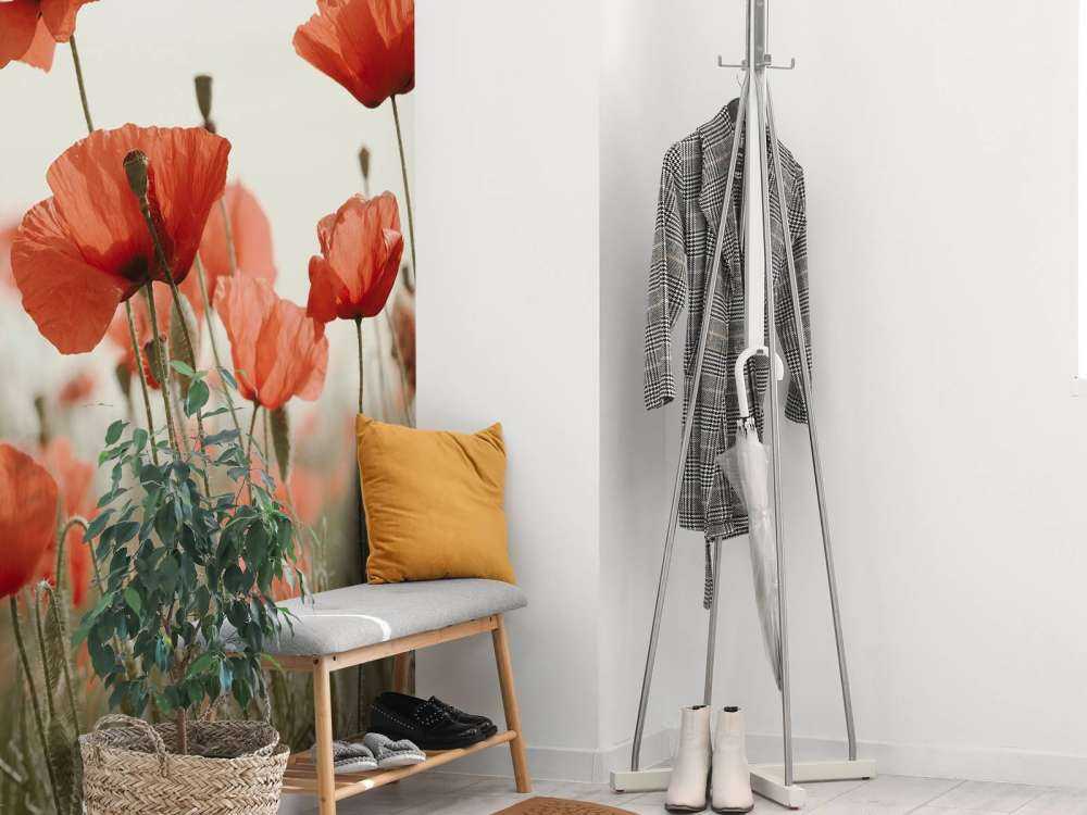 Papaveri in colori vintage