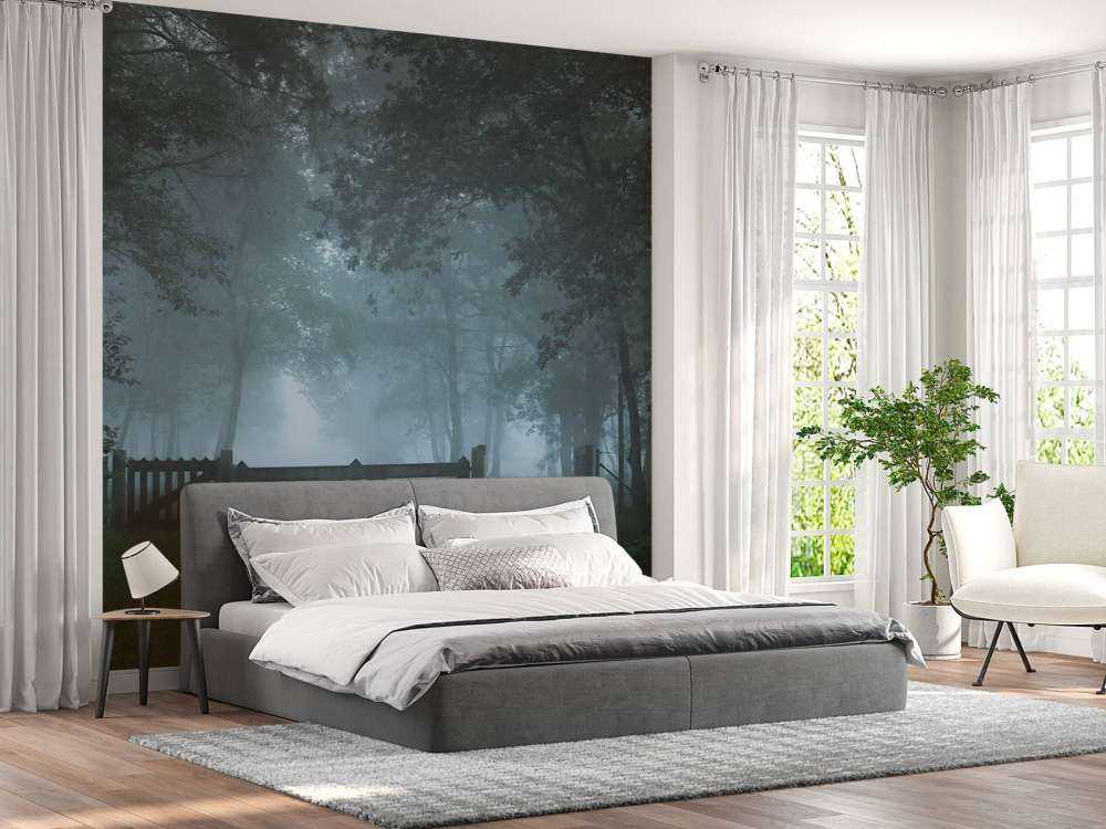 Sentiero della foresta nebbiosa