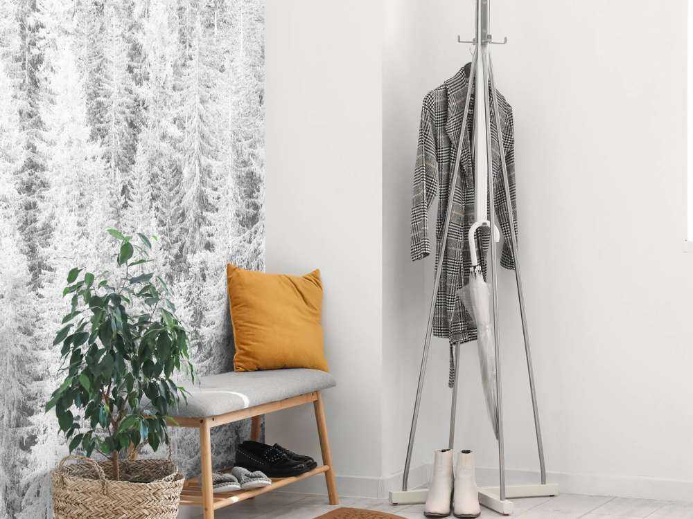 Conifere in bianco e nero