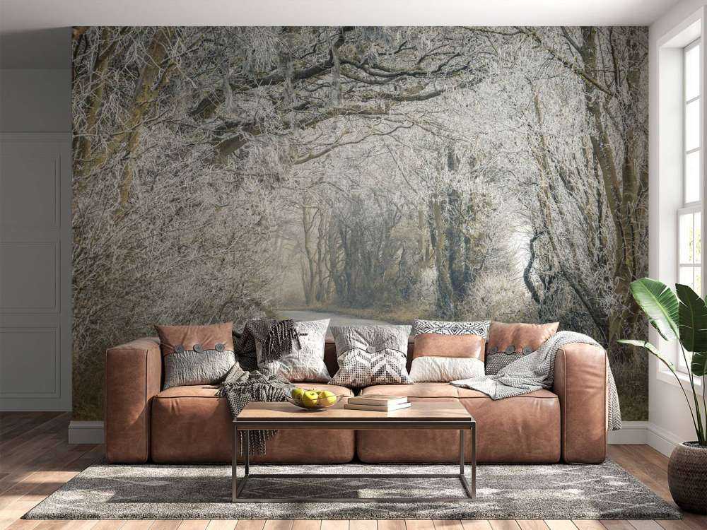 Strada ghiacciata attraverso la foresta