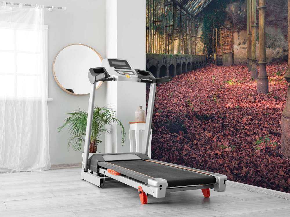 Casa abbandonata con foglie