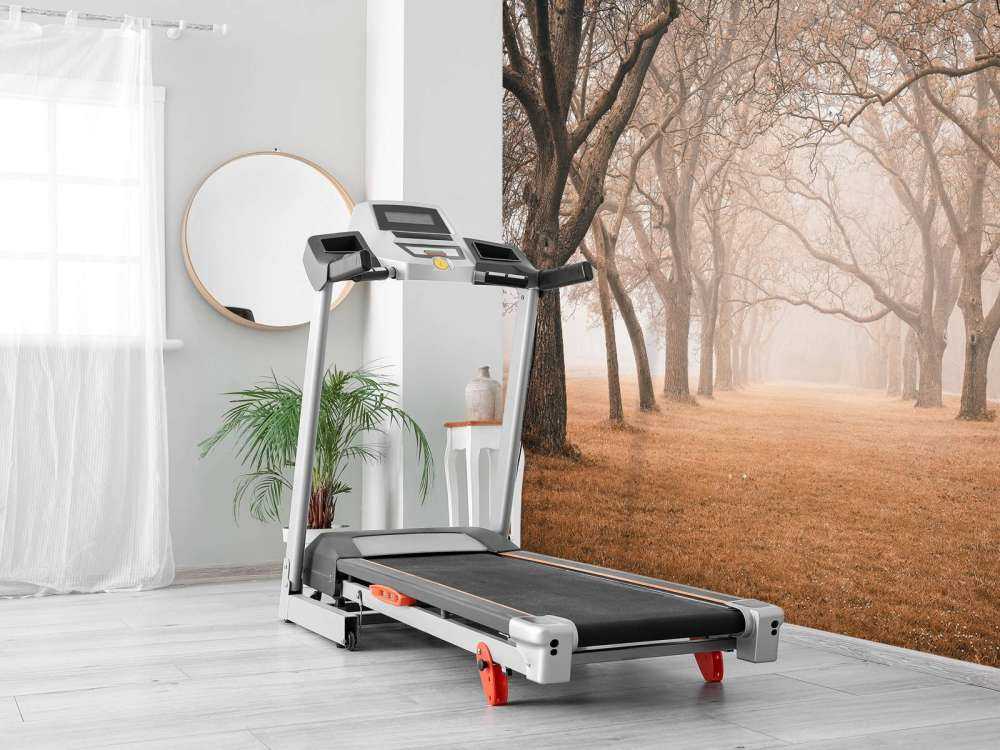 Fila di alberi secolari