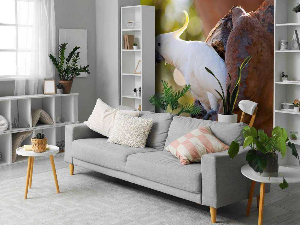 Cacatua in cavità dell'albero