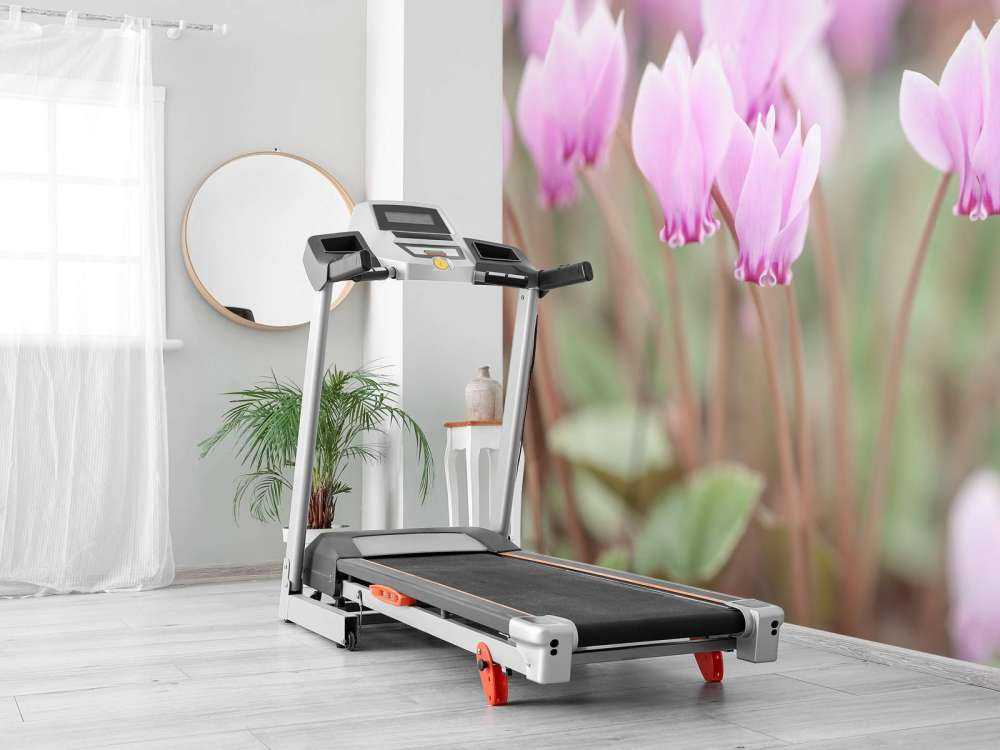 Bellissimi fiori di edera