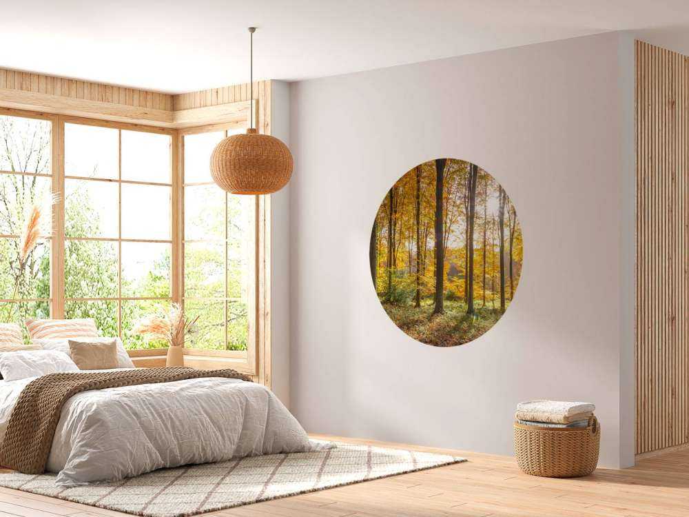 Giornata di sole autunnale