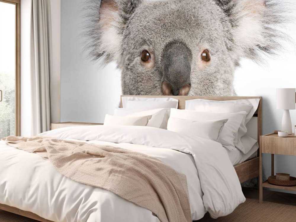 Foto di un koala