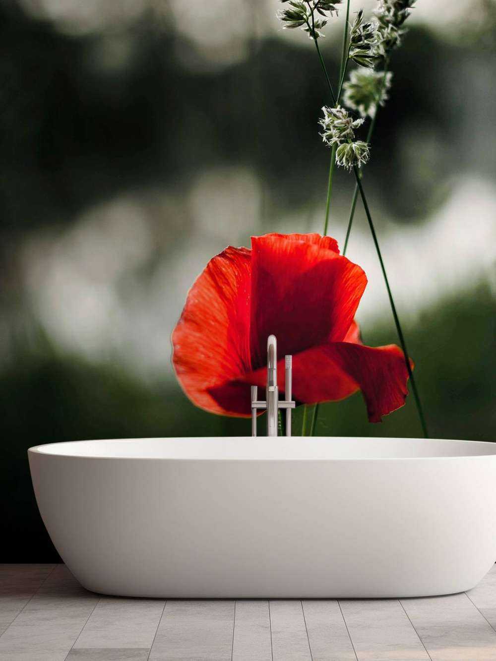 Papavero rosso con erba