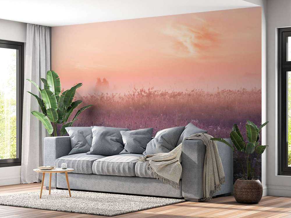 Campo con nebbia mattutina