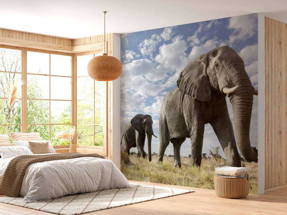 Elefanti di passaggio