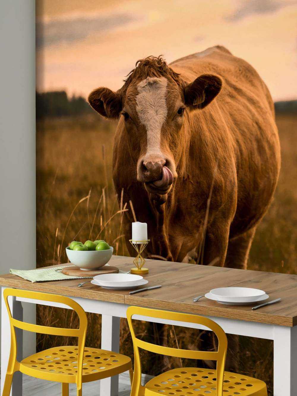 Mucca con la lingua nel naso