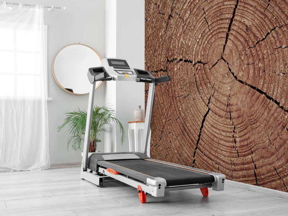 Tronco con anelli annuali