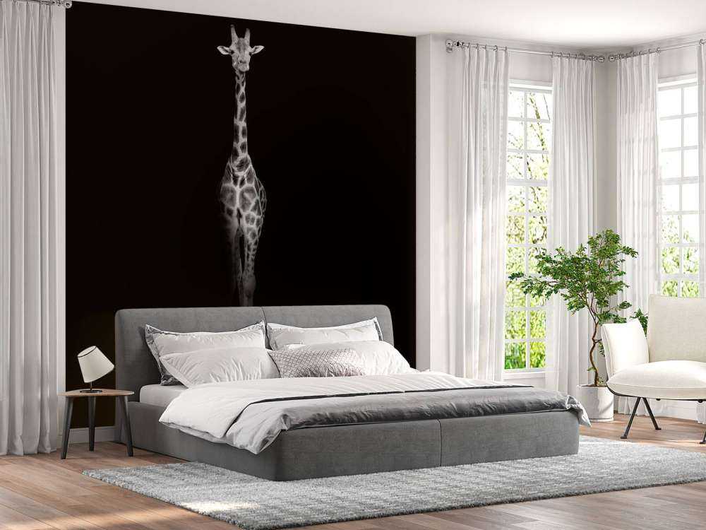 Giraffa in bianco e nero