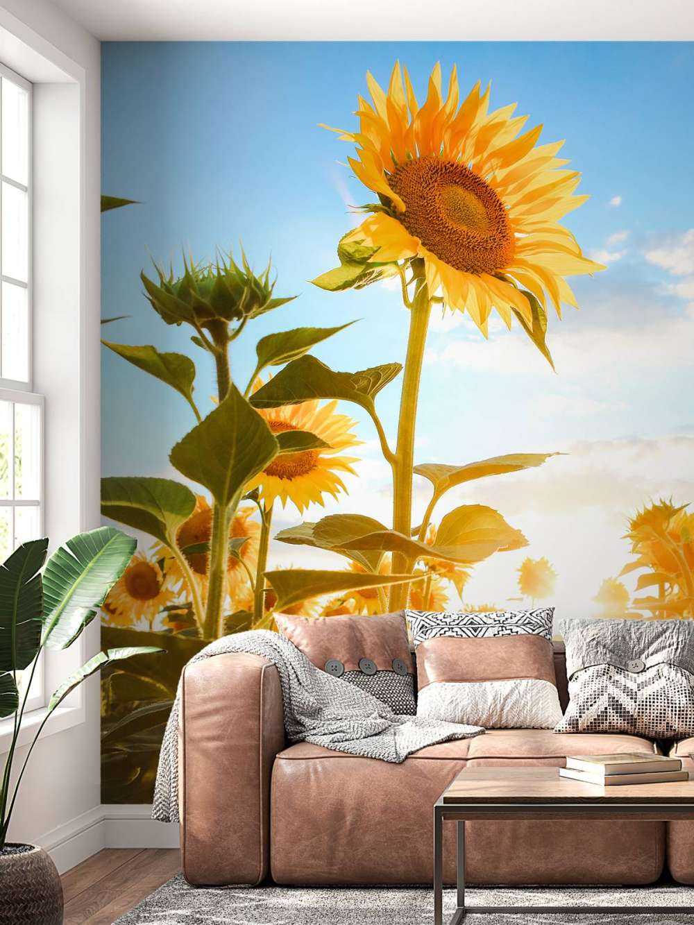 Girasole con cielo blu