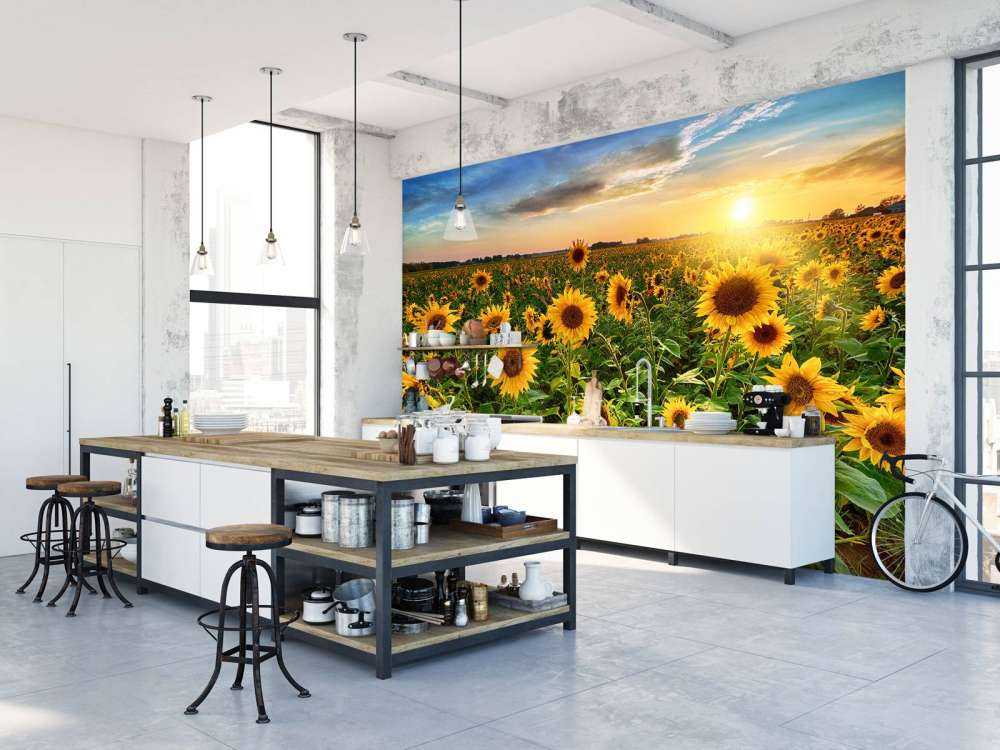 Bellissimo campo di girasoli