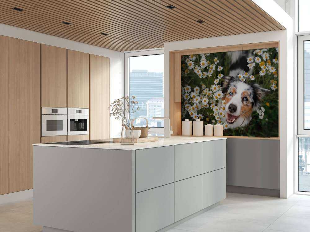 Pastore australiano tra i fiori