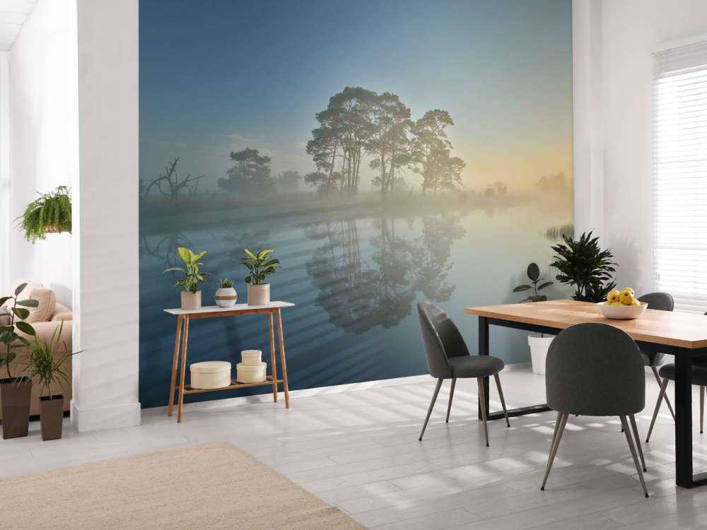 Nebbia nella brughiera