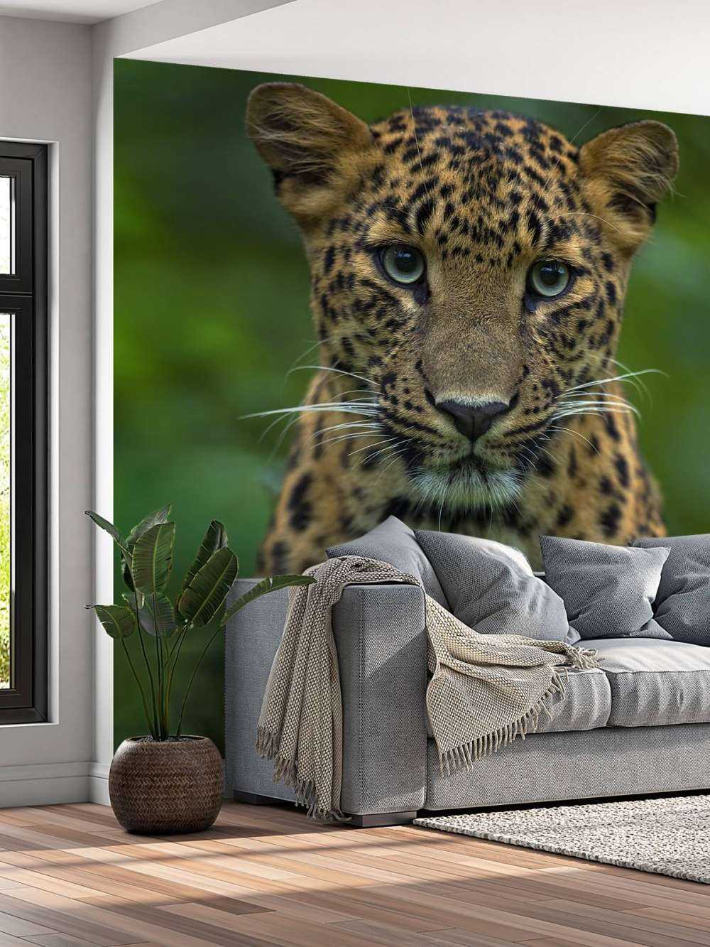 Focalizzato leopardo