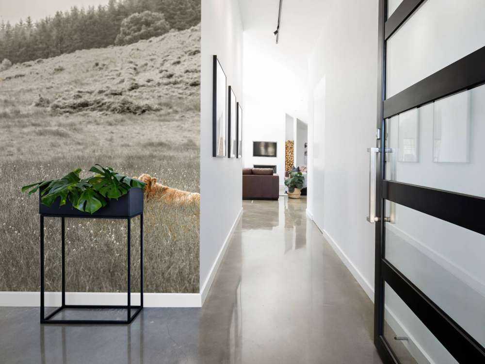 Highlander scozzese con vitello