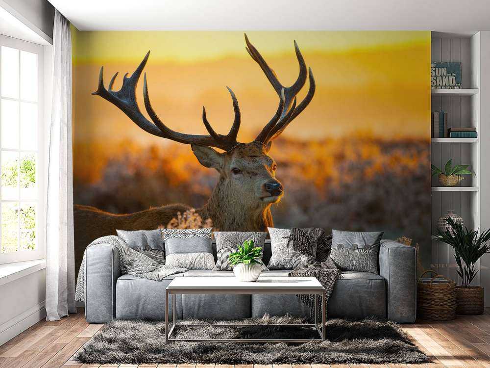 Cervi nella riserva naturale