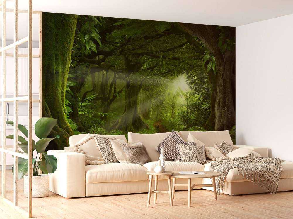 Giungla tropicale con luce solare