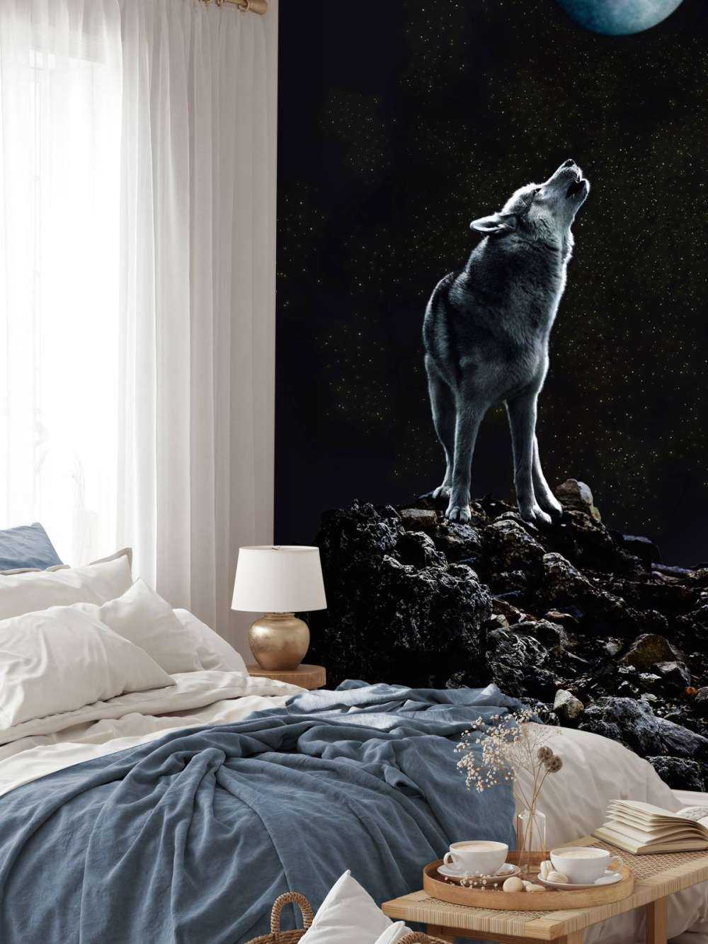 Chiamata della Luna Sentinella Solitaria