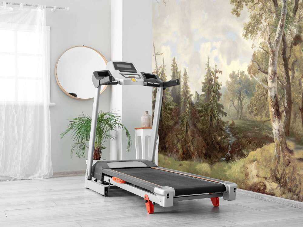 Paesaggio Forestale Colore #1