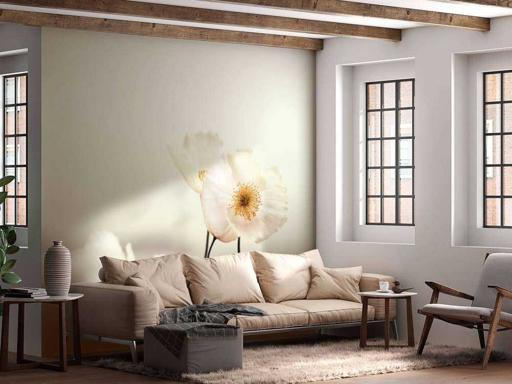 Papaveri bianchi in primo piano