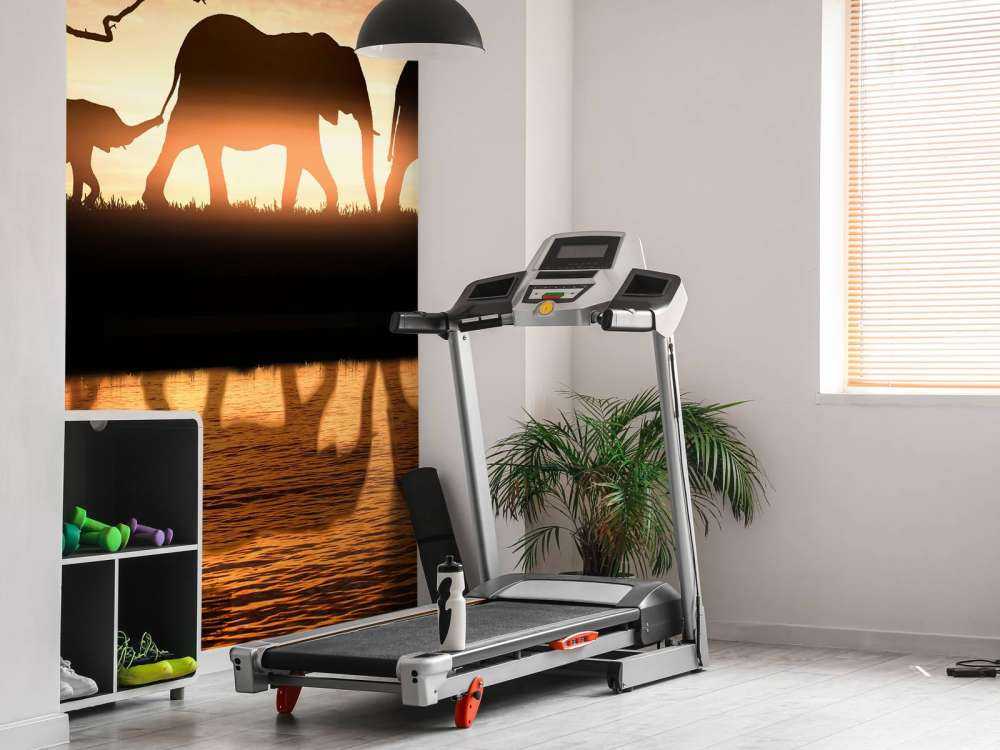 Elefanti nella savana