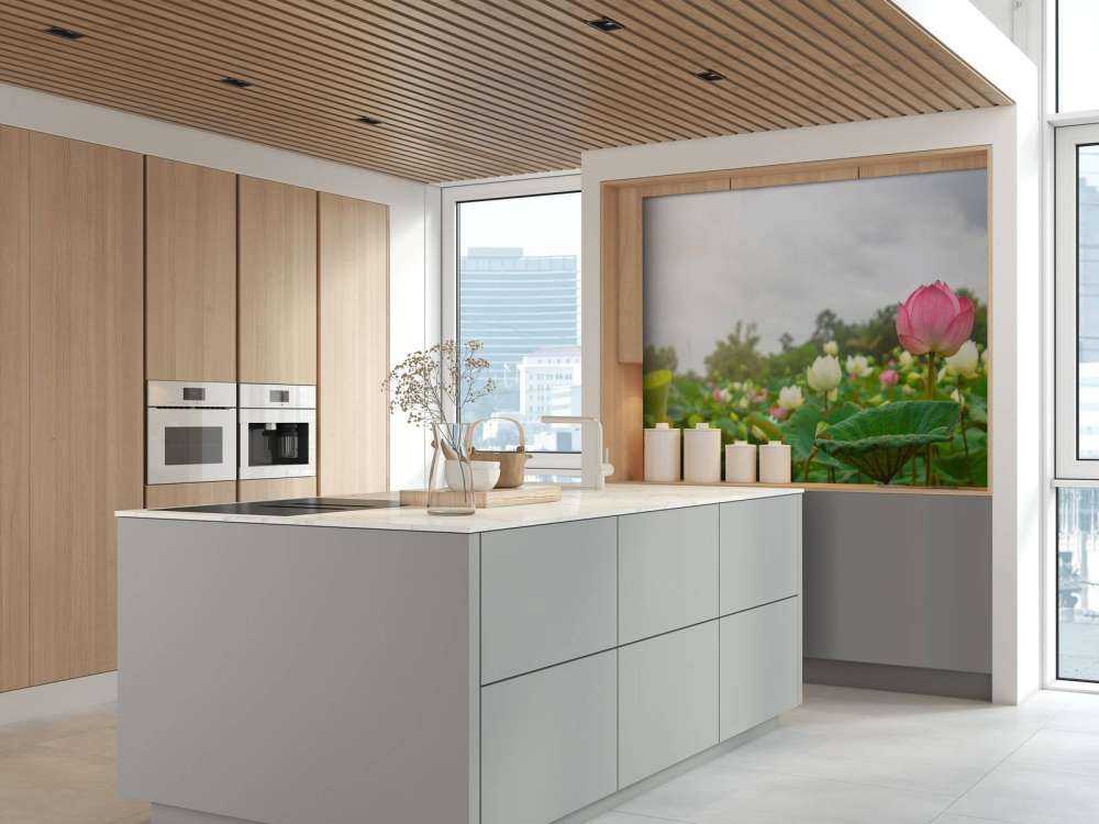 Fiori di loto rosa e bianchi