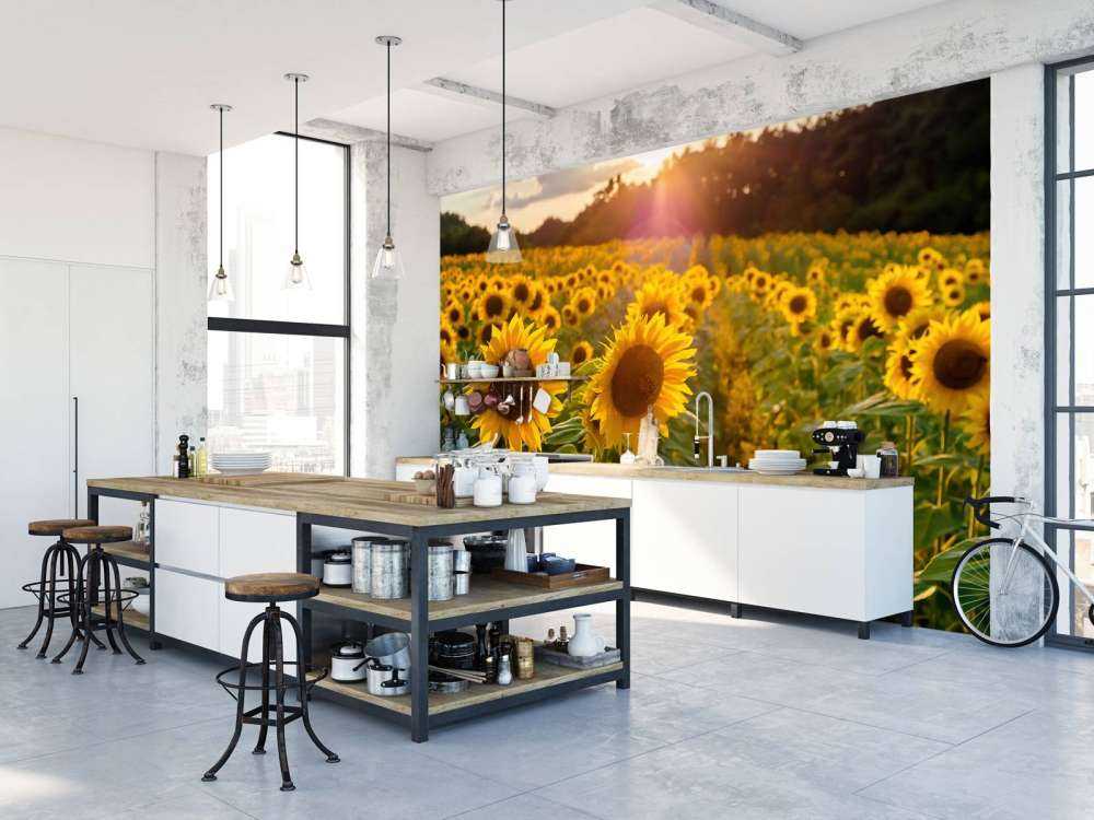 Fattoria dei girasoli