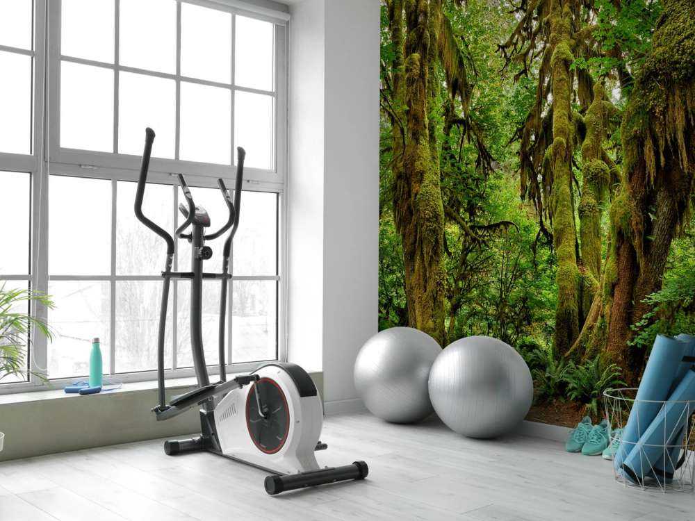 Vecchia foresta selvaggia