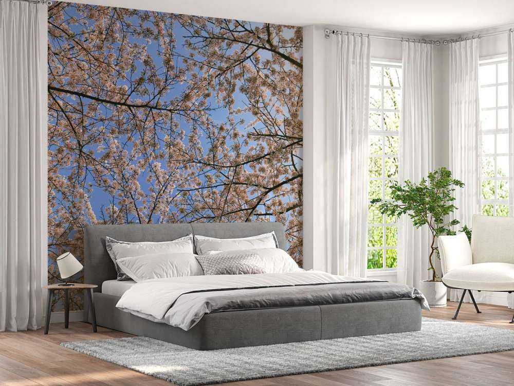 Rami in fioritura in fiore